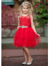 Red Lace Tulle Flower Girl Dress Kids Tutu Dress Red Lace Tulle Flower Girl Dress Kids Tutu Dress